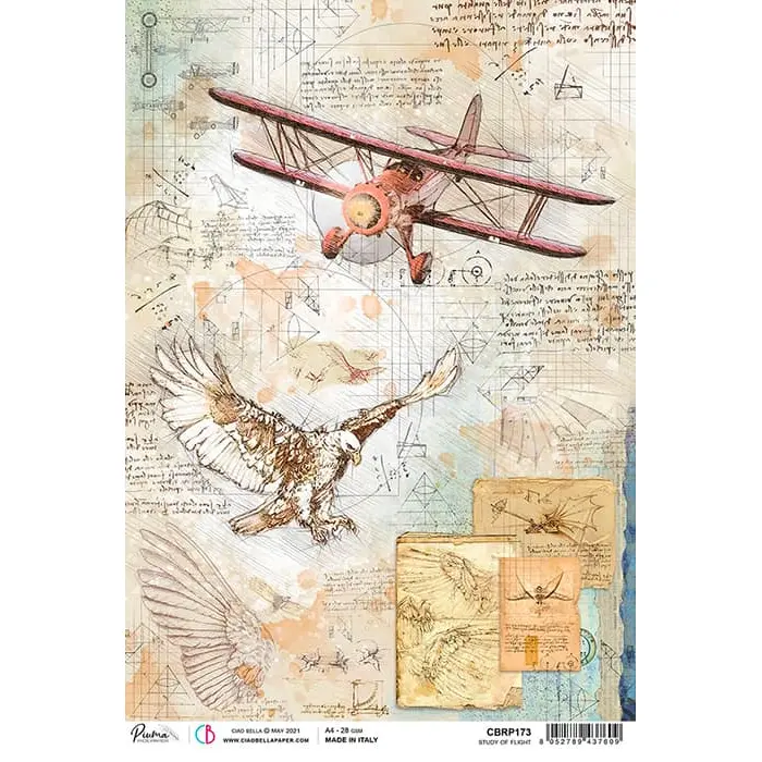 Ciao Bella Rice Paper A4 Study Of Flight 1