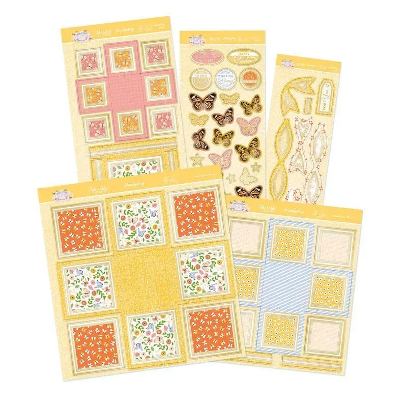 Exploding Boxes Project Kit - Butterfly Box 1
