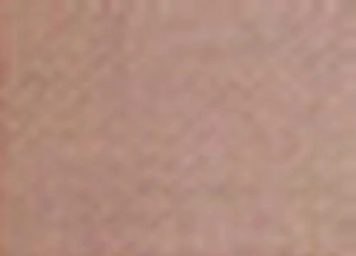 Pinta Perla Paint Brown 1