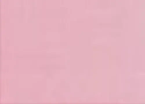 Pinta Perla Paint Skin 1