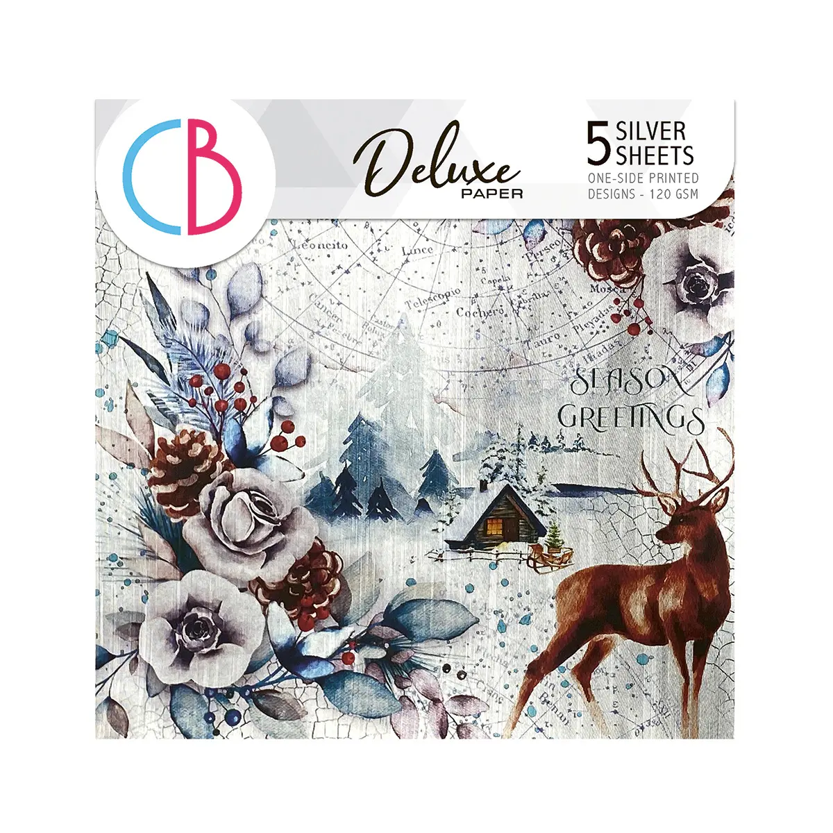 Winter Journey Deluxe Paper Silver 6"X6" 5/Pkg 1