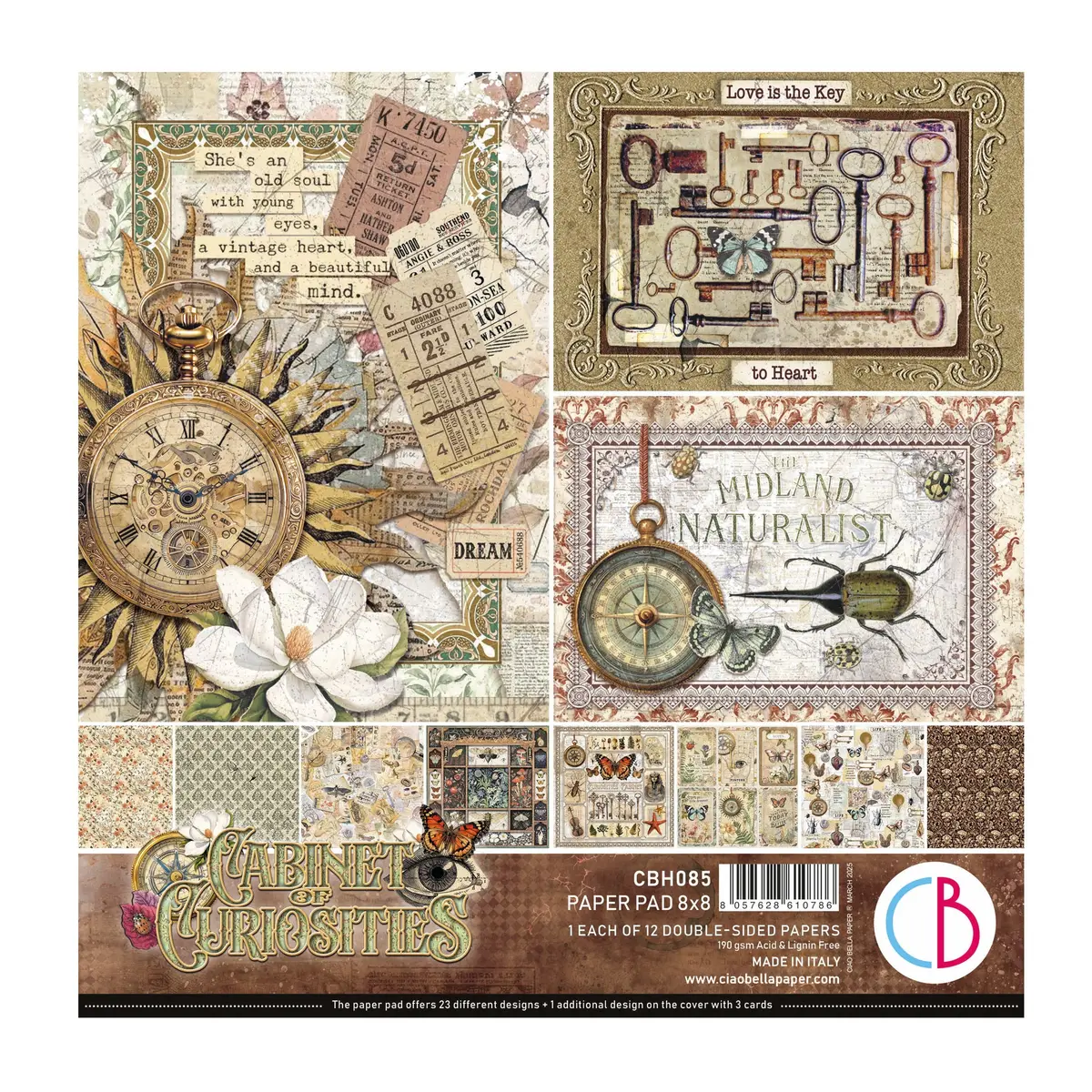 Cabinet Of Curiosities Pad 8"X8" 12/Pkg 1