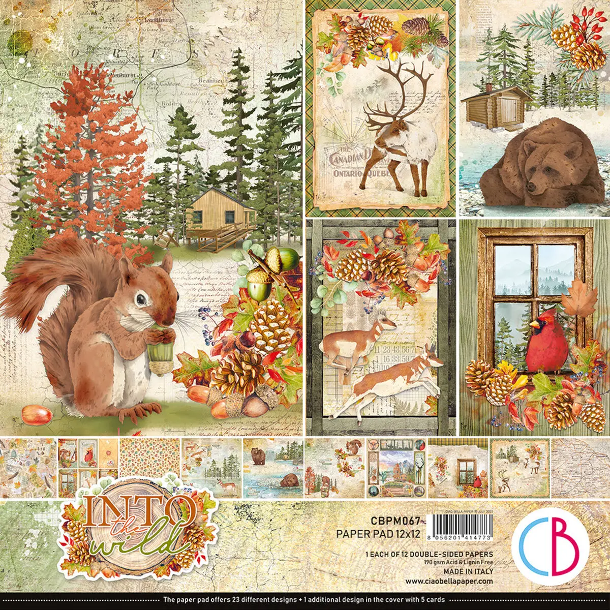 Ciao Bella Into The Wild Paper Pad 12"X12" 12/Pkg 1