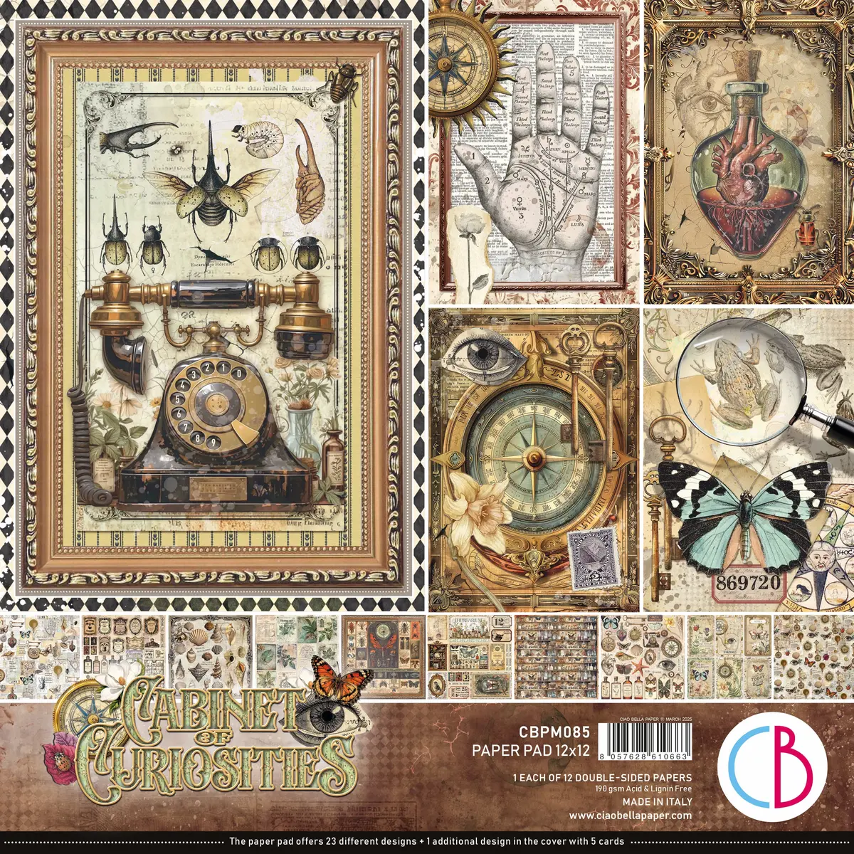 Cabinet Of Curiosities Paper Pad 12"X12" 12/Pkg 1