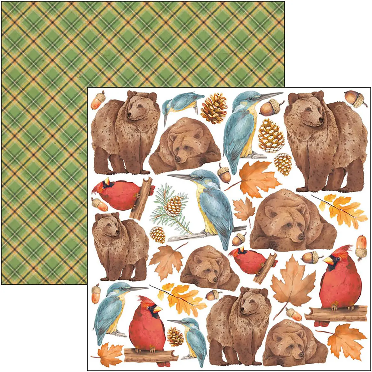 Ciao Bella Into The Wild Fussy Cut Pad 6"X6" 24/Pkg 2