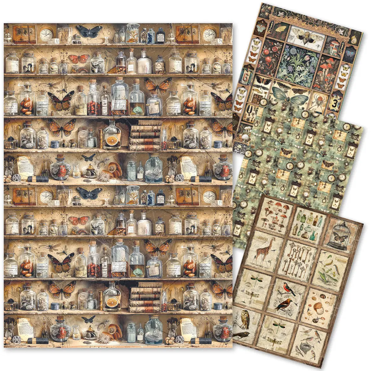 Rice Paper A4 Mixed 4/Pkg Cabinet Of Curiosities 1
