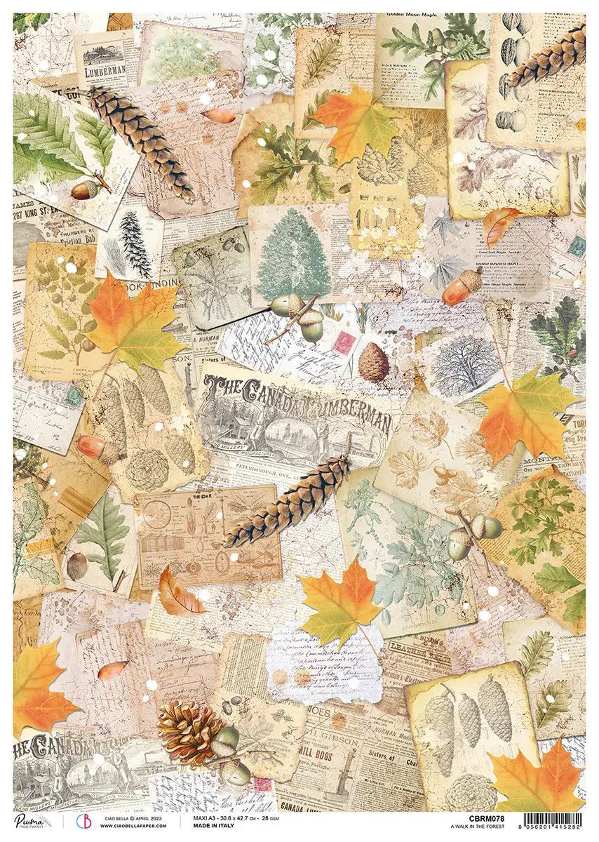Ciao Bella Rice Paper A3 Piuma A Walk In The Forest - 3 Sheets 1