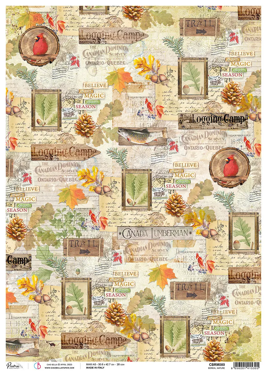 Ciao Bella Rice Paper A3 Piuma Boreal Nature - 3 Sheets 1