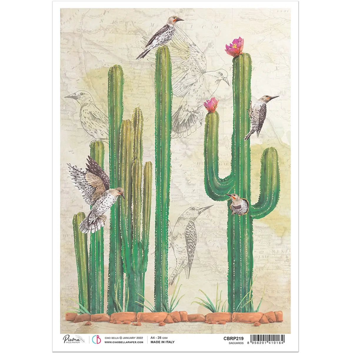 Ciao Bella Rice Paper A4 Saguaros 1