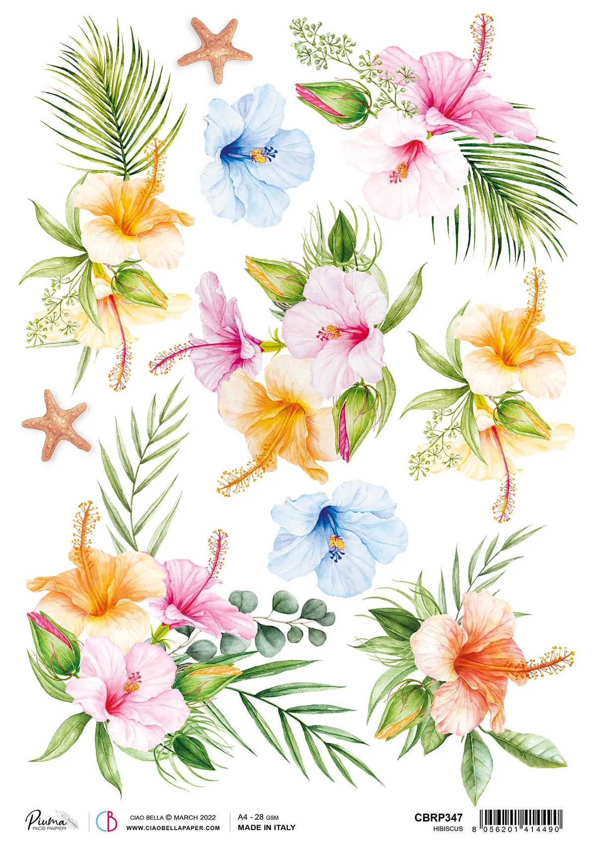 Ciao Bella Rice Paper A4 Piuma Hibiscus - 5 Sheets 1