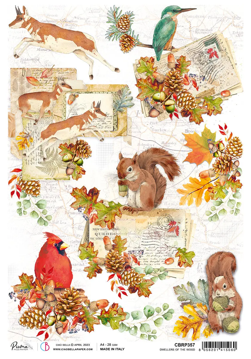 Ciao Bella Rice Paper A4 Piuma Dwellers Of The Wood - 5 Sheets 1