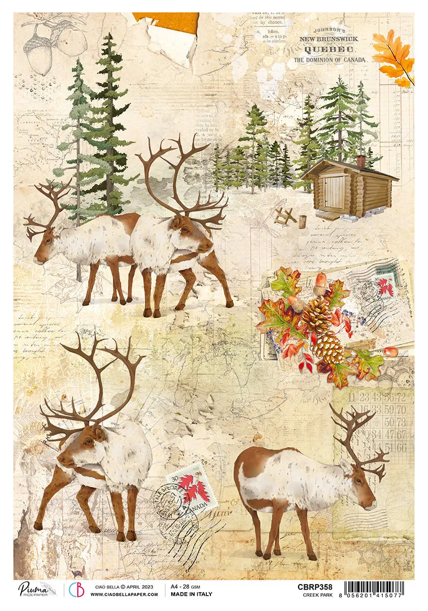 Ciao Bella Rice Paper A4 Piuma Creek Park - 5 Sheets 1