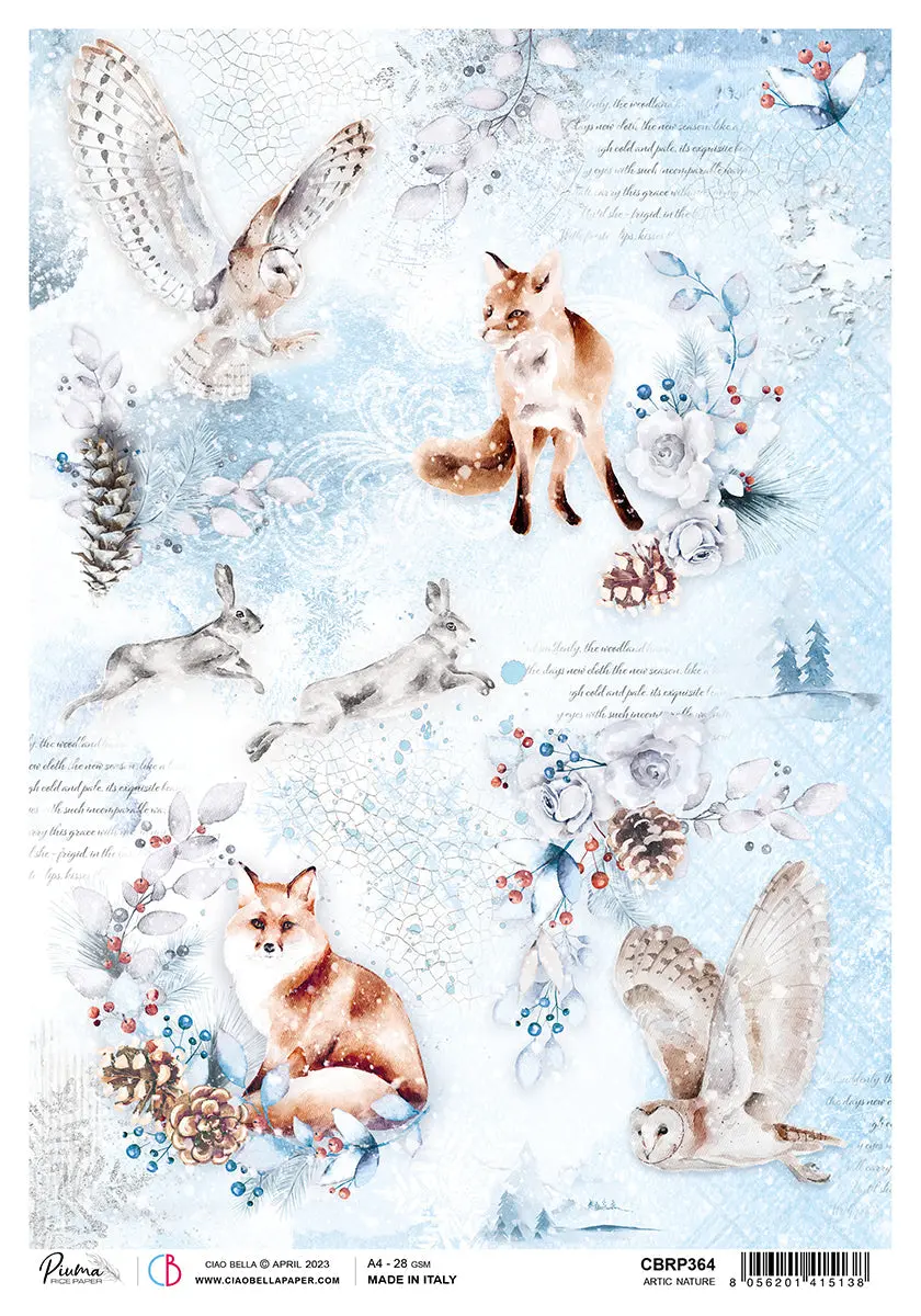 Ciao Bella Rice Paper A4 Piuma Artic Nature - 5 Sheets 1