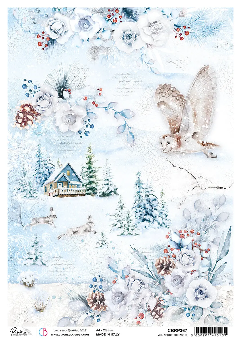 Ciao Bella Rice Paper A4 Piuma All About The Arctic - 5 Sheets 1