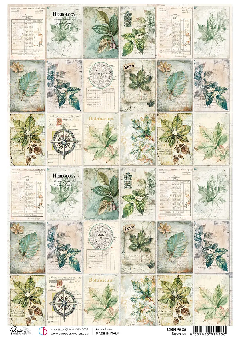 Rice Paper A4 Botanical - 5 Sheets 1