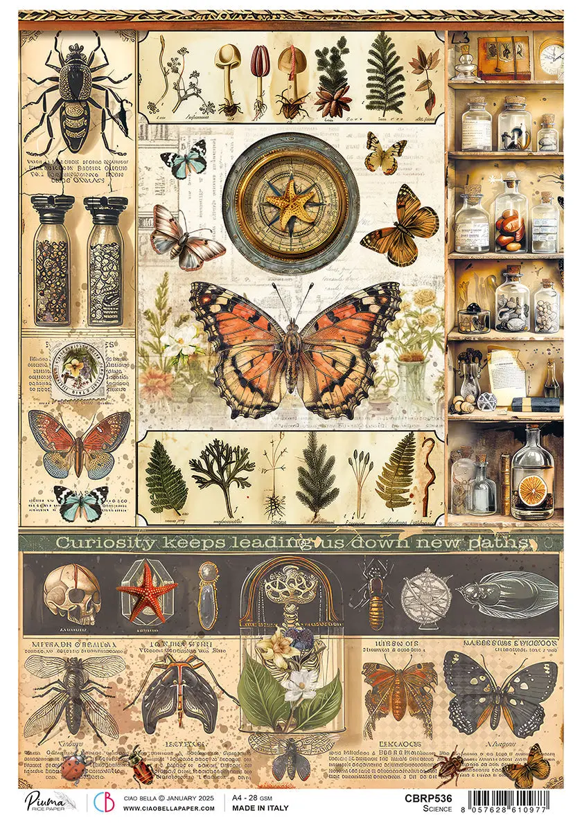 Rice Paper A4 Science - 5 Sheets 1