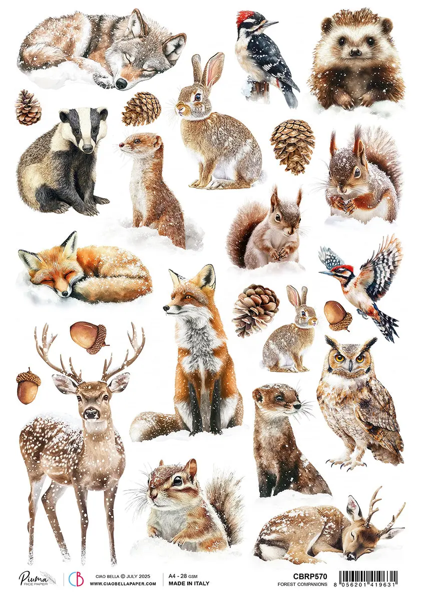 Rice Paper A4 Forest Companions - 5 Sheets 1