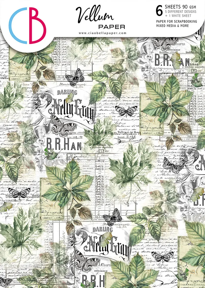 Vellum Cabinet Of Curiosities Paper Patterns A4 6/Pkg 1