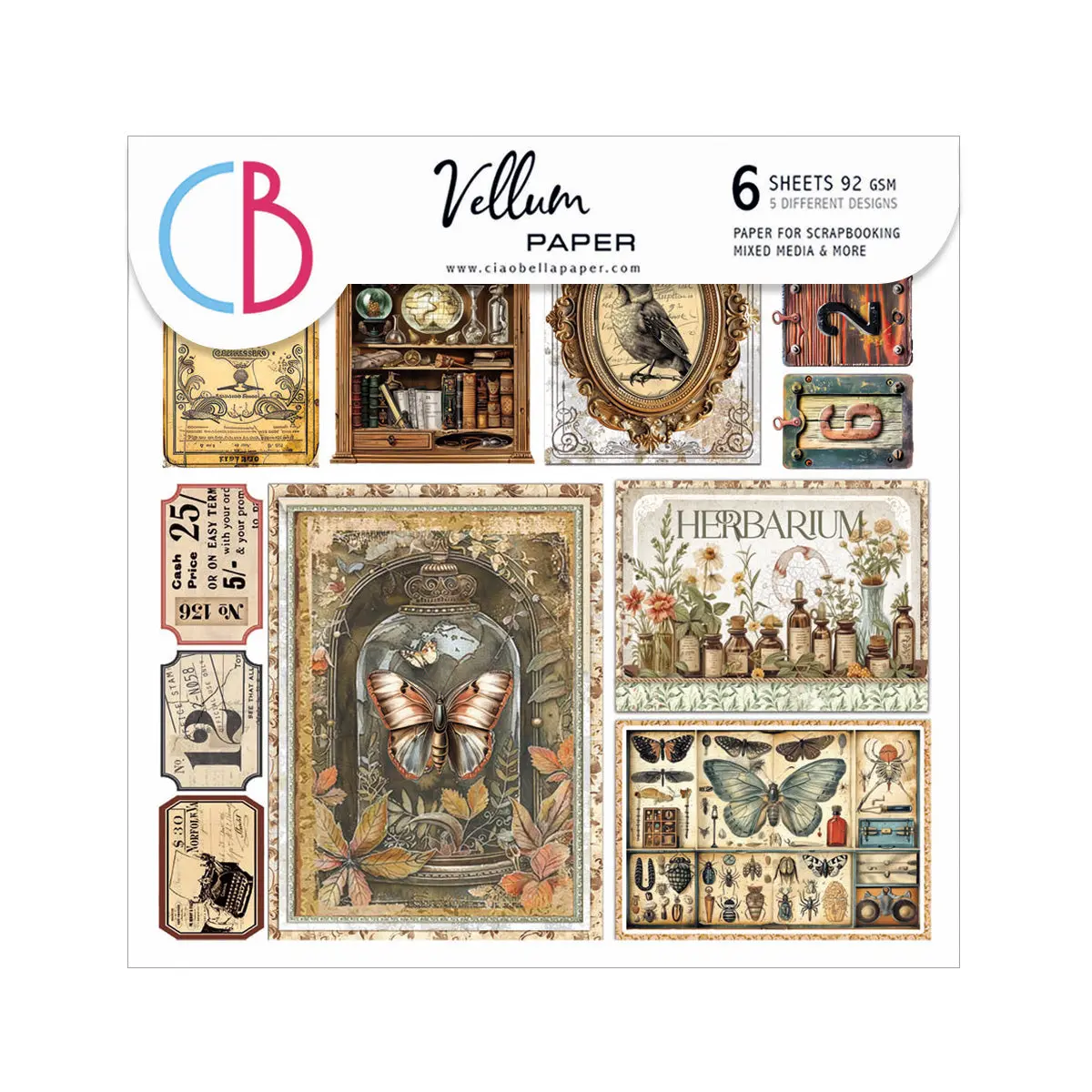 Vellum Cabinet Of Curiosities Fussy Cut 6"X6" 6/Pkg 1