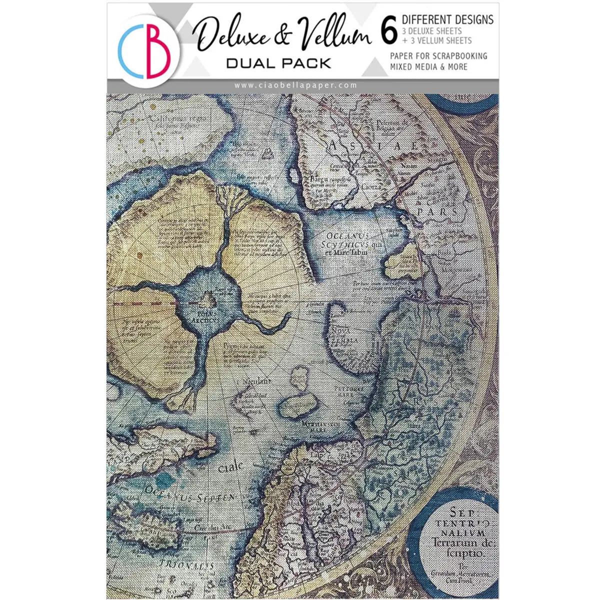 Deluxe Paper Silver & Vellum Dual Pack A4 Mixed 6/Pkg An Artist Journey 1