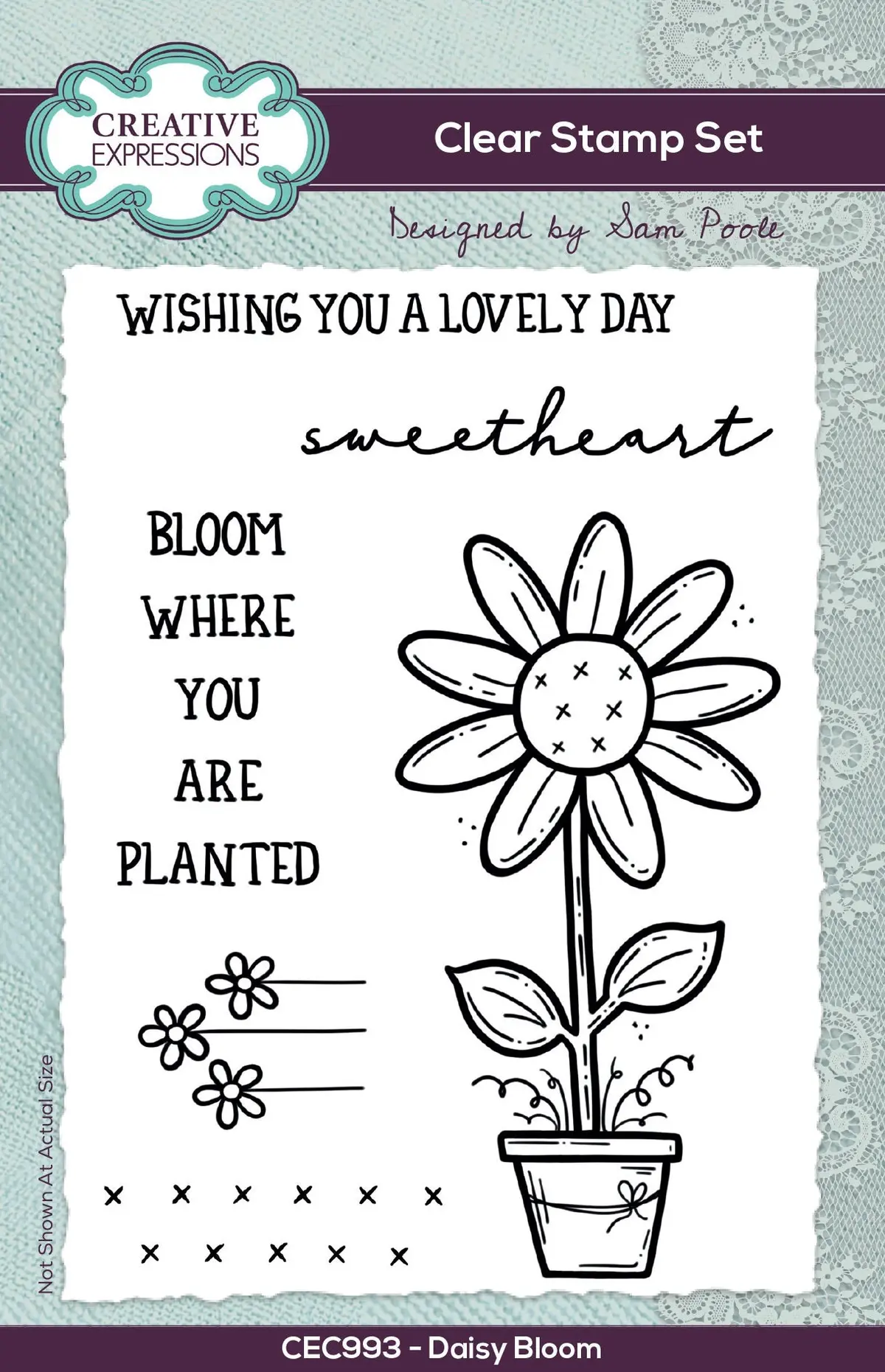Creative Expressions Sam Poole Daisy Bloom 6 In X 4 In Clear Stamp Set 1