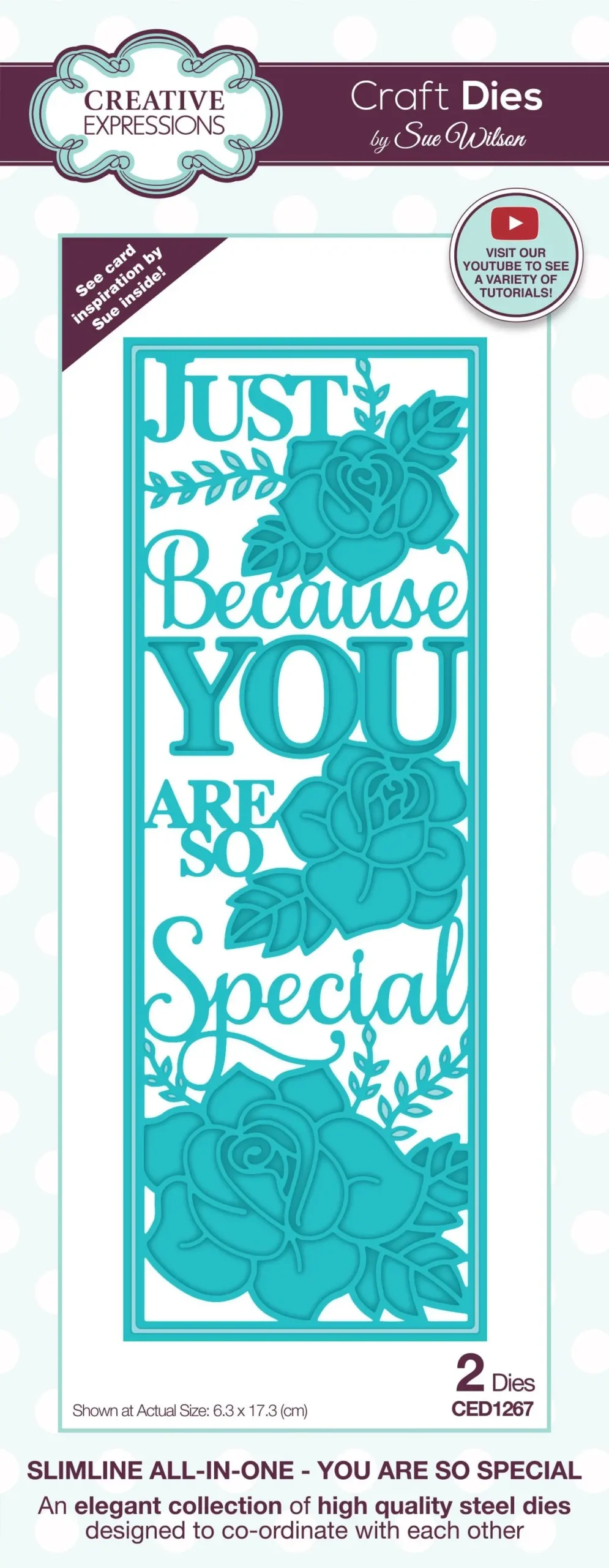 Creative Expressions Sue Wilson Slimline You Are So Special Craft Die 1