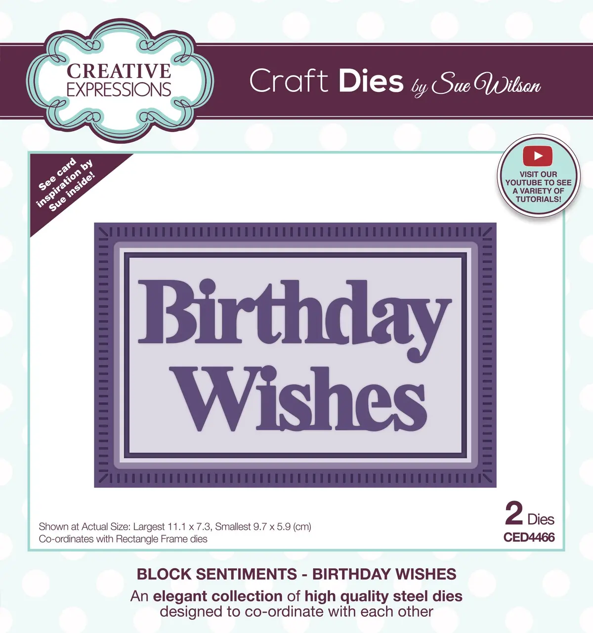 Creative Expressions Sue Wilson Block Sentiments Birthday Wishes Craft Die 1