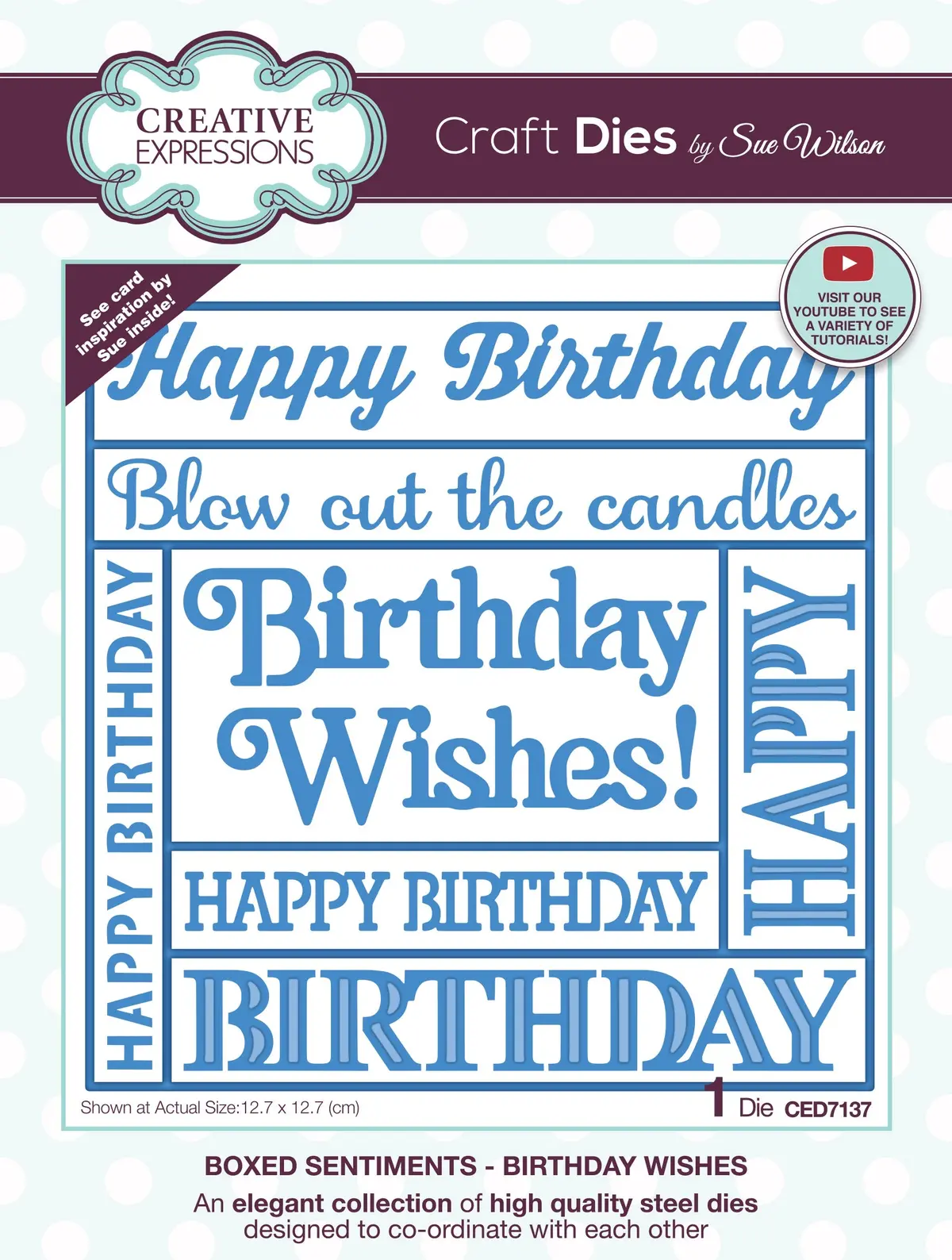Creative Expressions Sue Wilson Boxed Sentiments Birthday Wishes Craft Die 1