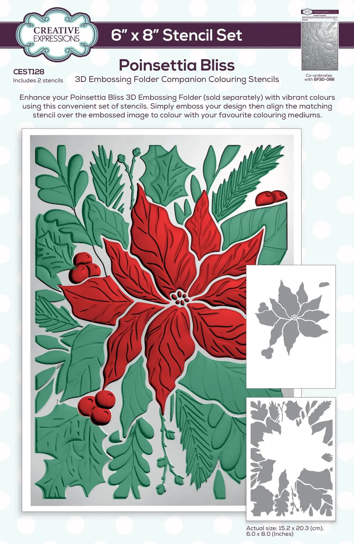 Creative Expressions Poinsettia Bliss Companion Colouring Stencil Set 6 In X 8 In 2Pk 1