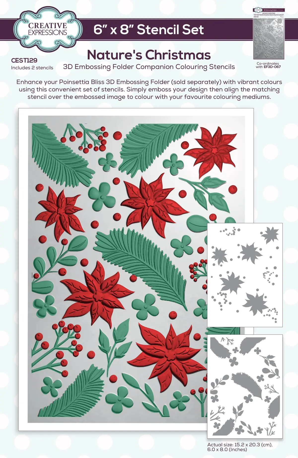Creative Expressions Nature's Christmas Companion Colouring Stencil Set 6 In X 8 In 2Pk 1