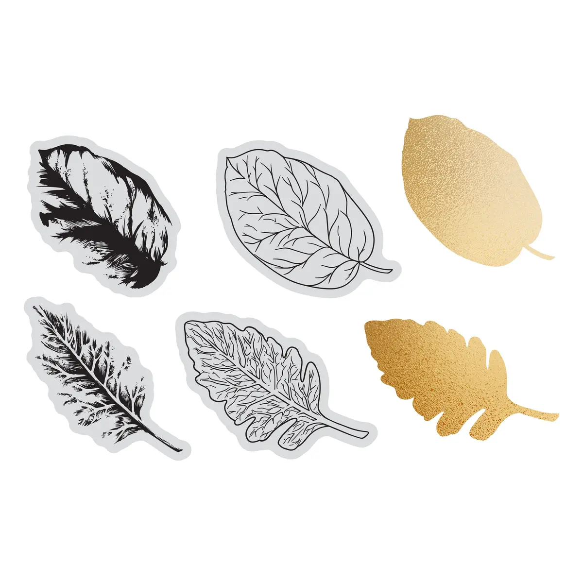 Couture Creations - Elegance Collection - Layering Stamp And Die Set - Wide Leaves Mini (6Pc) 1