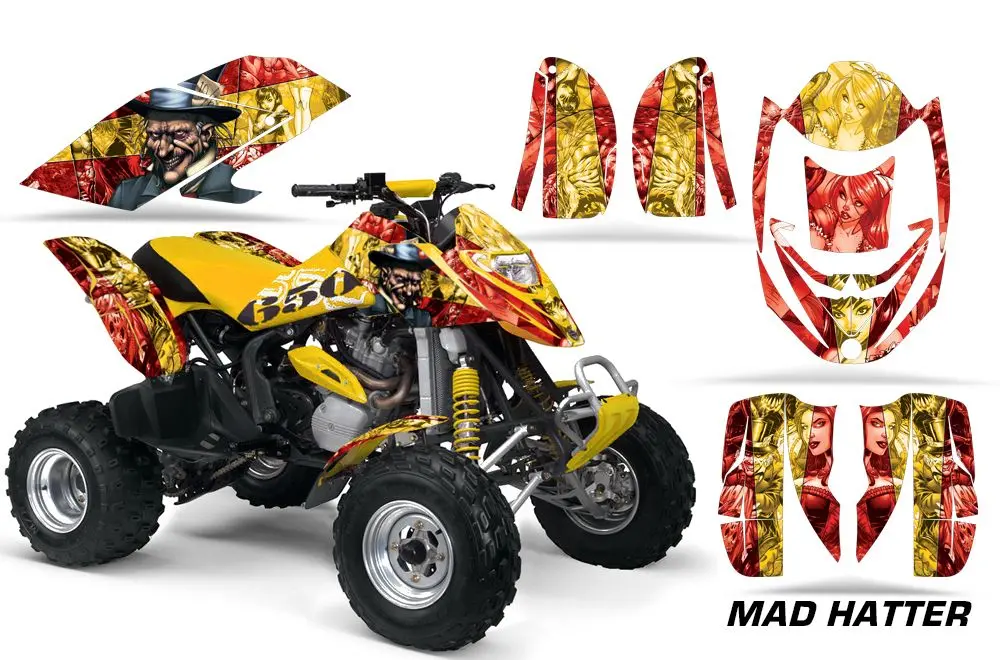 Bombardier Ds650 Graphics (Can Am Ds650 2000-2007 Graphics) 1