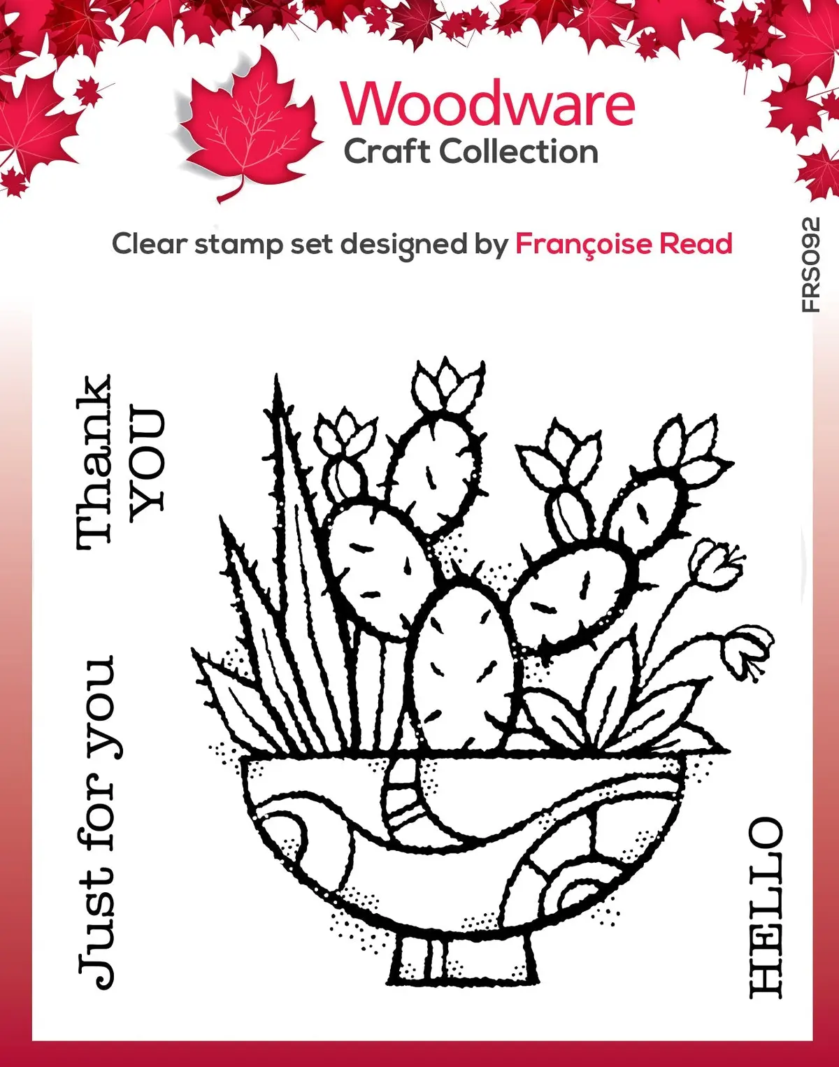 Woodware Clear Singles Succulent Display 4 In X 4 In Stamp 1