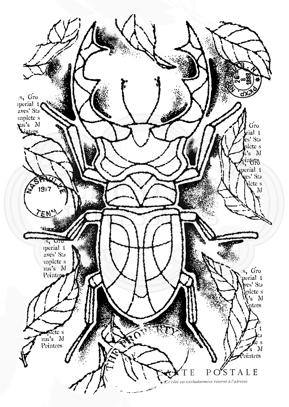 Woodware Clear Singles Stag Beetle 4 In X 6 In Stamp 1