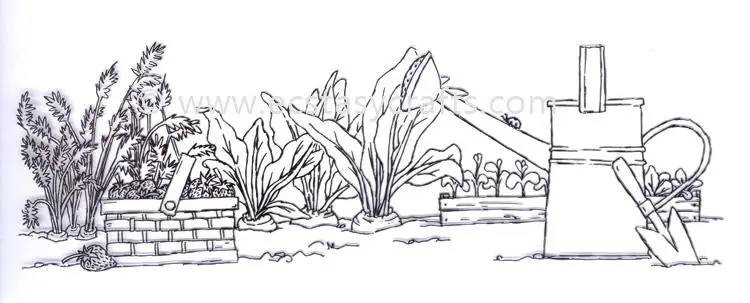 Marianne Design Clear Stamp - Hetty's Border: Vegetable Garden 1