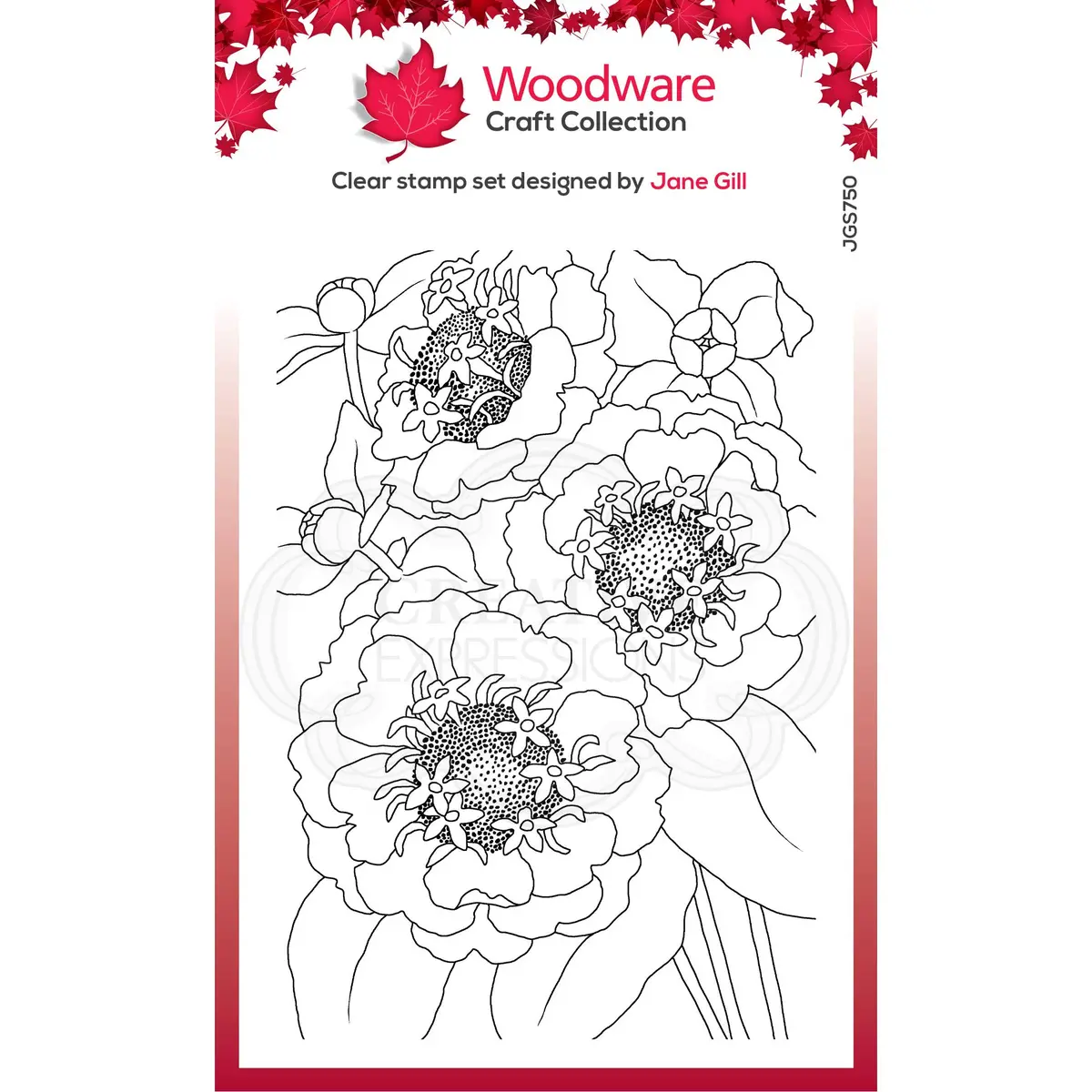 Woodware Clear Singles Zinnia 4 In X 6 In Stamp 1