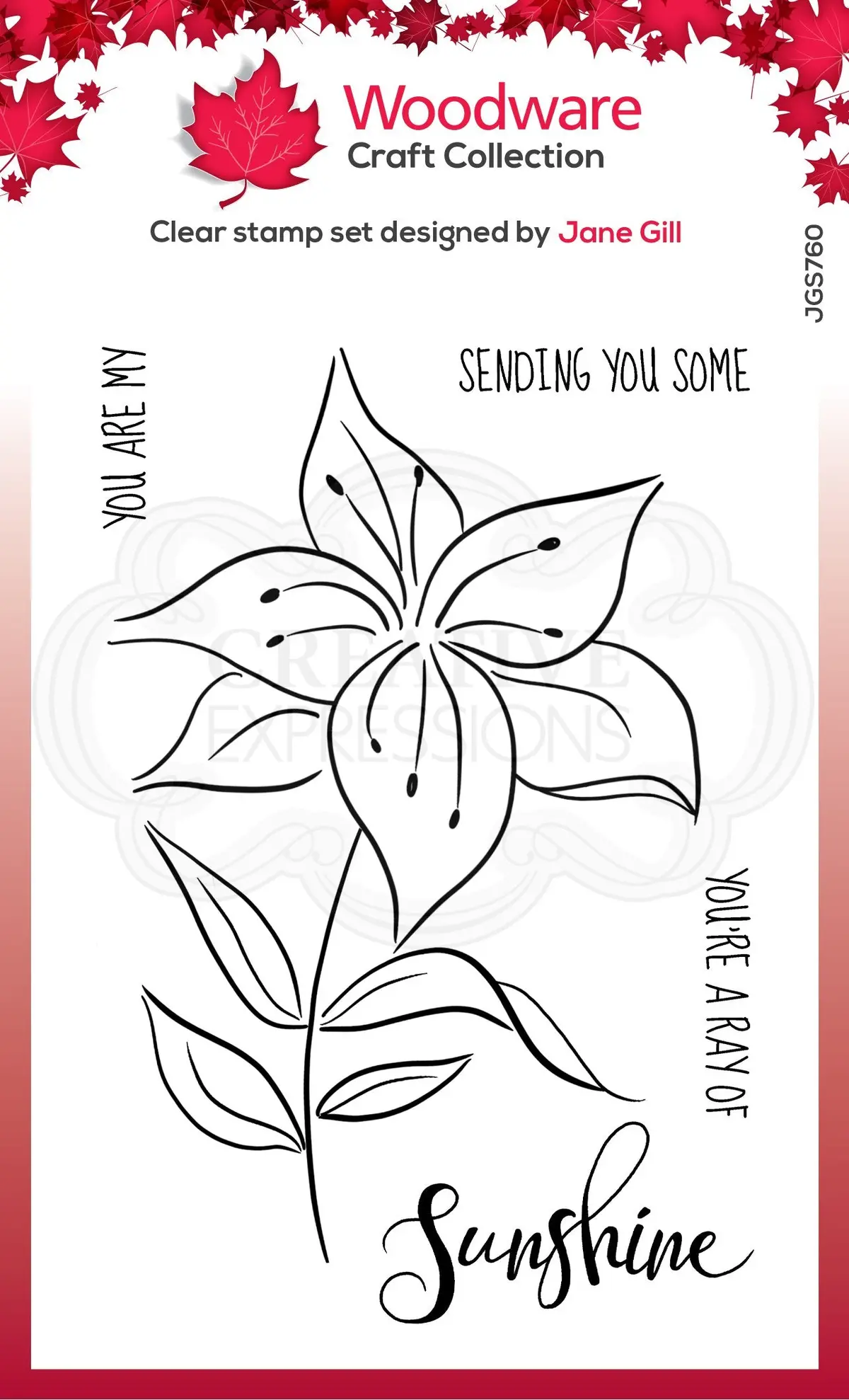 Woodware Clear Singles Lily Sketch 4 In X 6 In Stamp 1