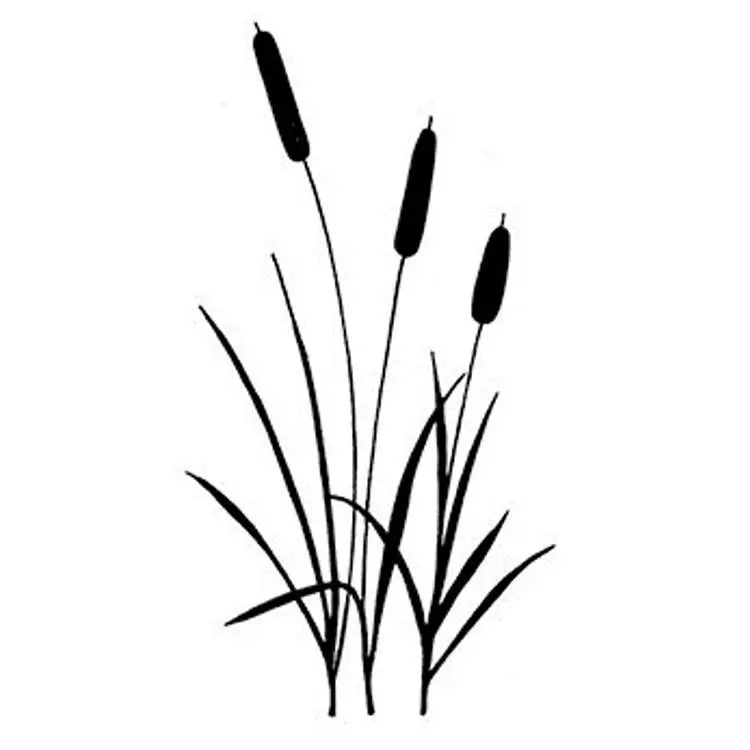 Lavinia Stamp - Bulrushes 1