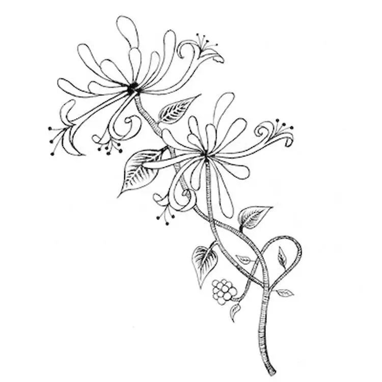 Lavinia Stamps - Honeysuckle 1