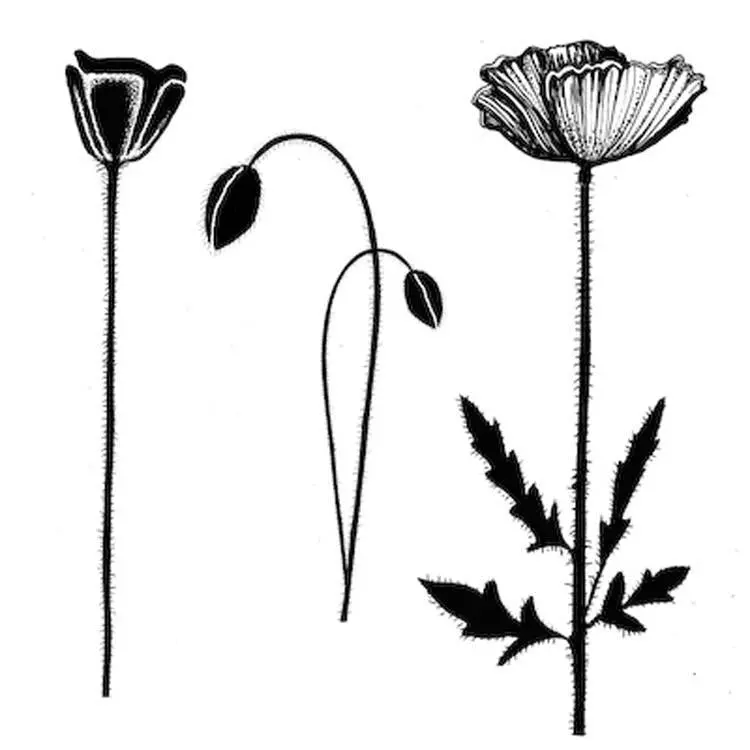 Lavinia Stamps - Group Poppies 1
