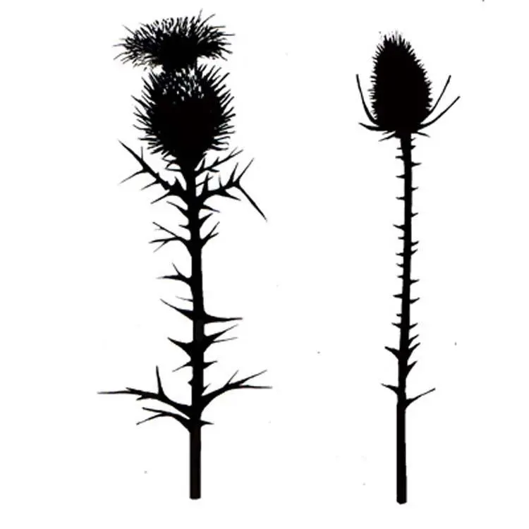 Lavinia Stamps - Thistles 1