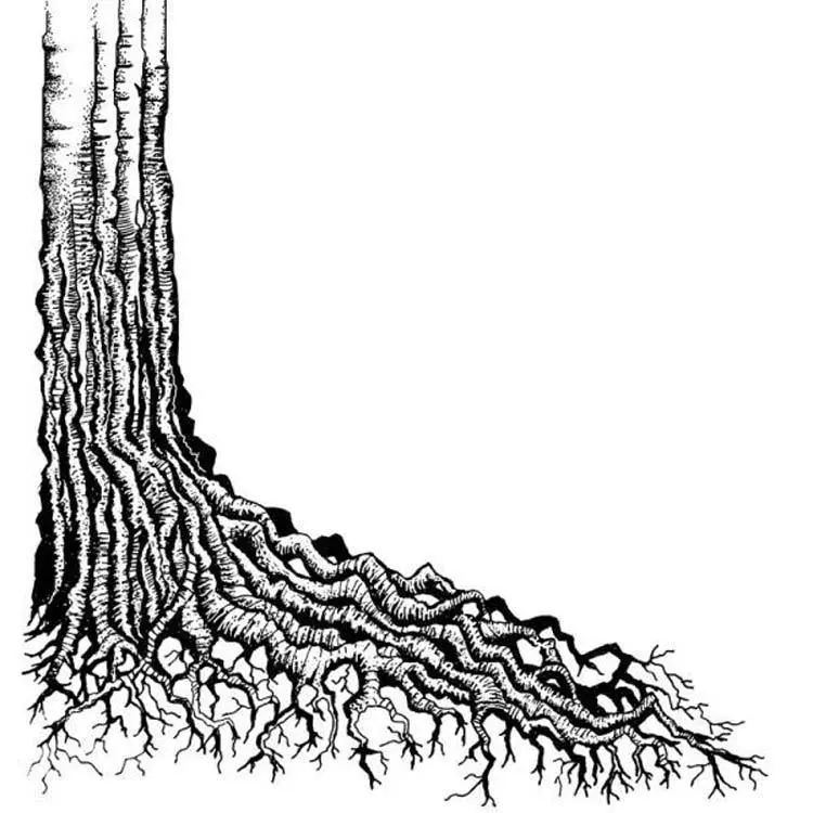 Lavinia Stamp -Tree Root 1
