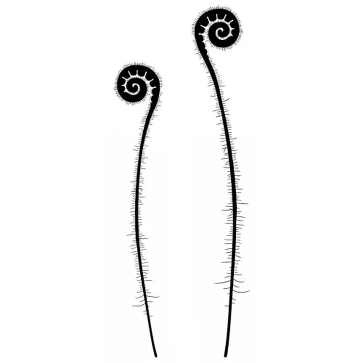 Lavinia Stamp - Fern Heads 1