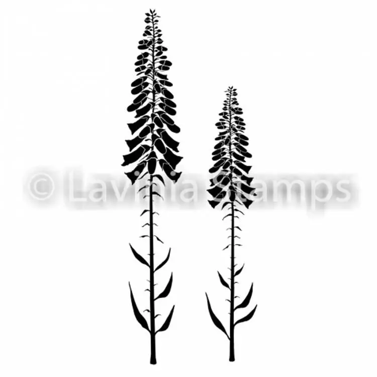 Lavinia Stamp - Foxglove 1