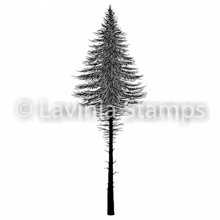 Lavinia Stamp - Fairy Fir Tree 2 1