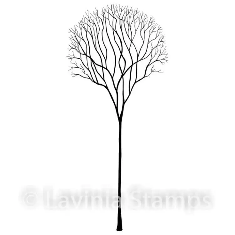 Lavinia Stamp - Skeleton Tree 1