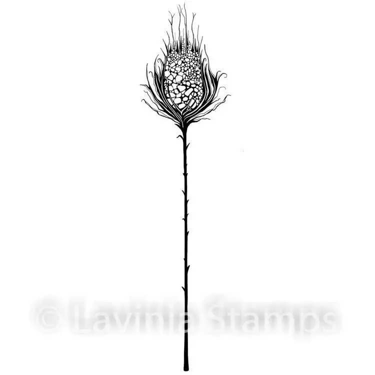 Lavinia Stamp - Starburst 1