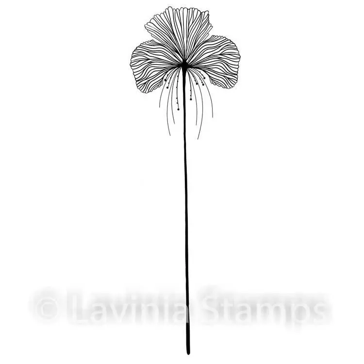 Lavinia Stamp - Single Fairy Orchid 1
