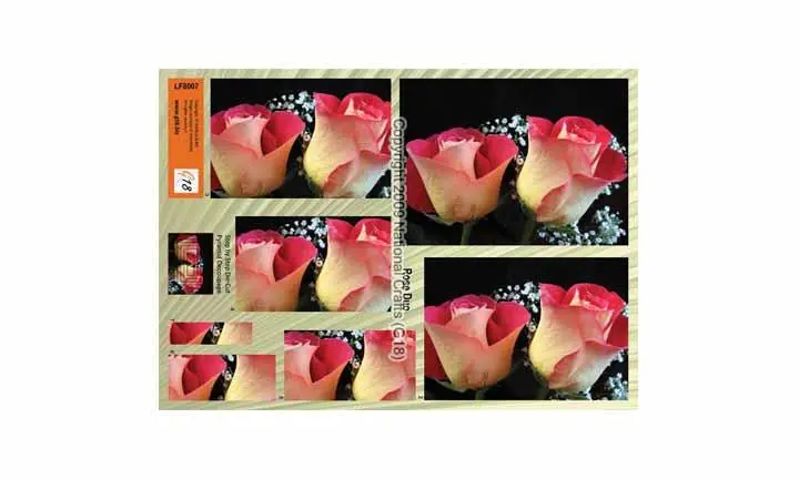 Large Format - Rose Duo 1
