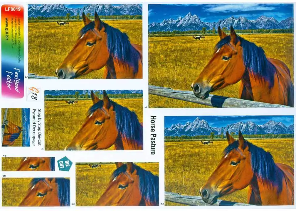 Large Format - Horse Pasture 1